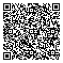 Mobile Code